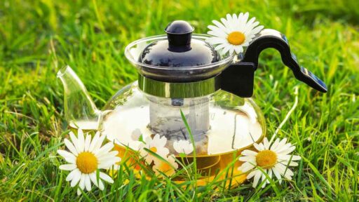 is-chamomile-tea-good-for-you-featured