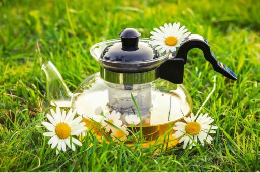 is-chamomile-tea-good-for-you-featured