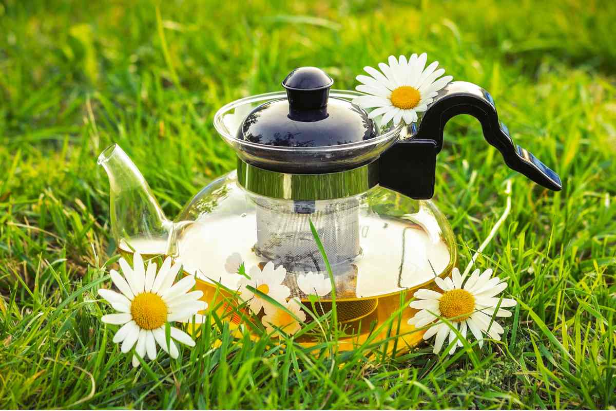 is-chamomile-tea-good-for-you-featured