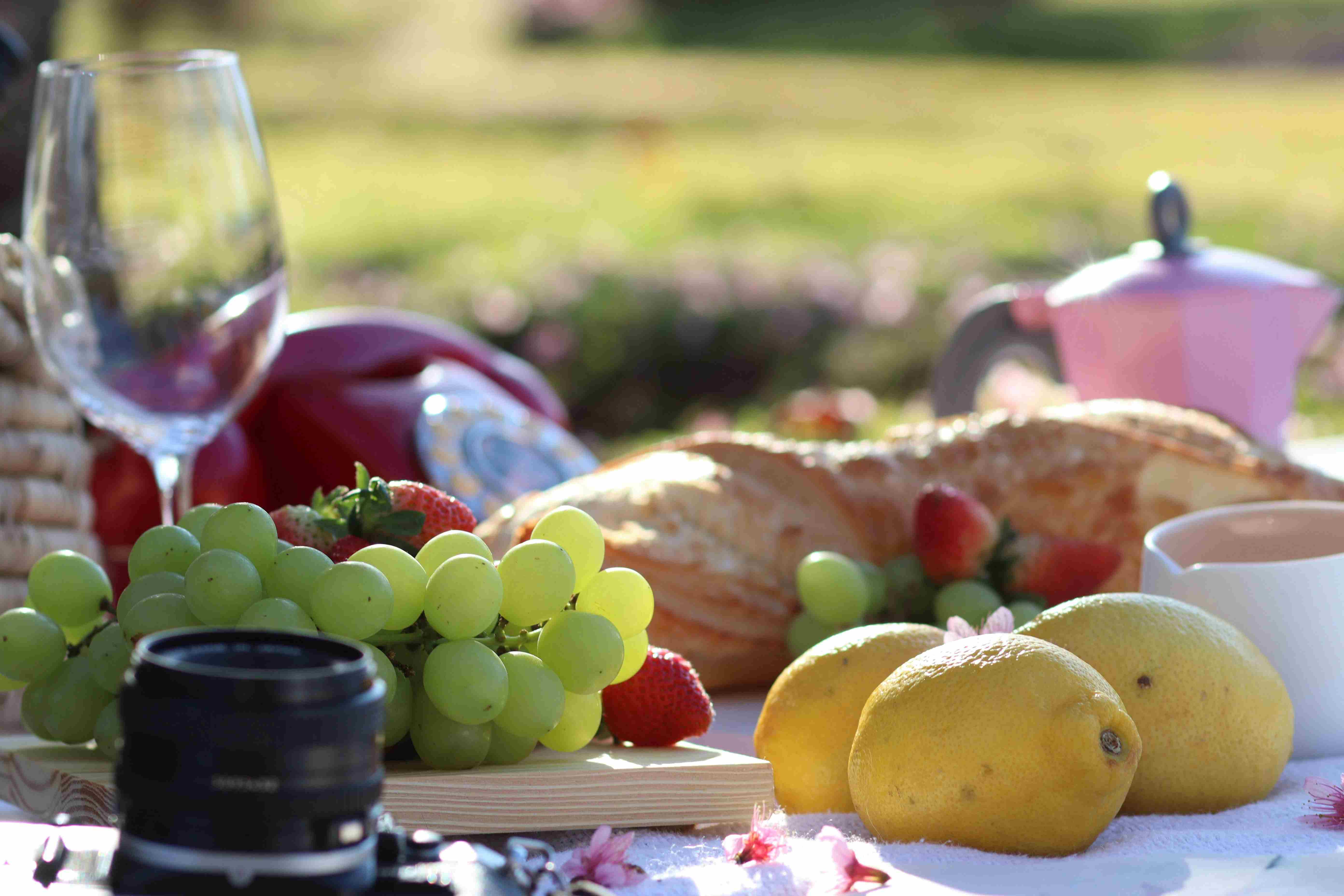 Terms of Service - Teakoe