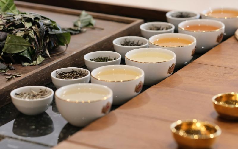 what-is-white-tea-main-types