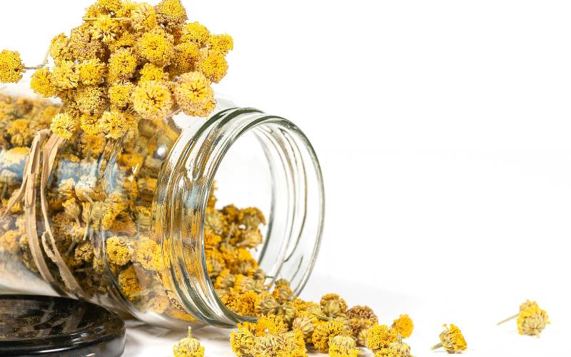 how-long-to-steep-chamomile-tea-tips