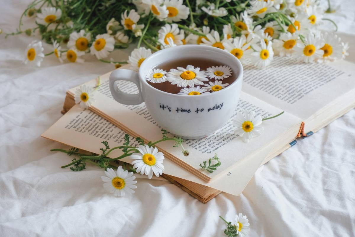 how-long-to-steep-chamomile-tea-featured