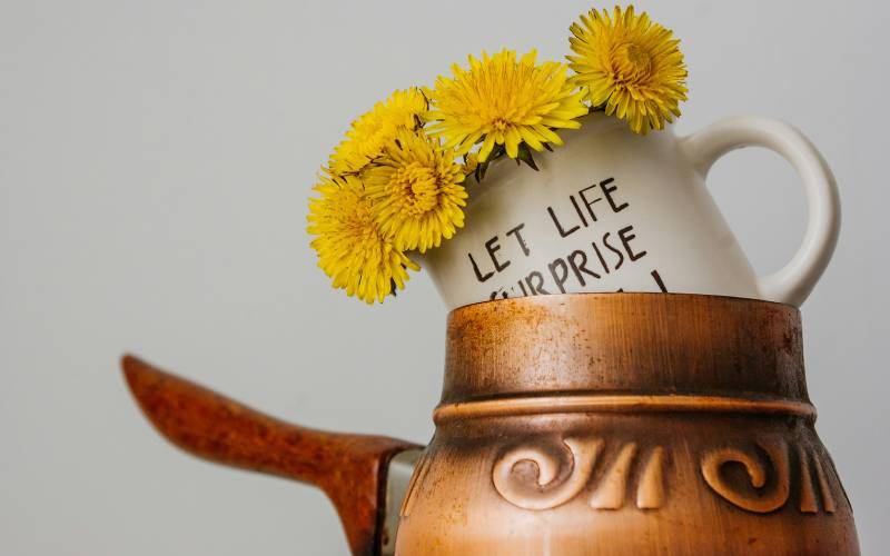how-to-make-dandelion-tea-helpful-tips