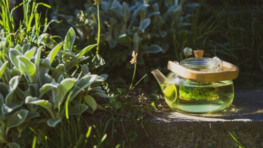 how-to-make-lemon-balm-tea-featured