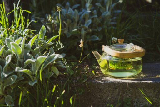 how-to-make-lemon-balm-tea-featured
