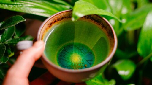 how-to-prepare-green-tea-featured