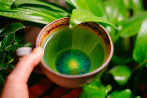 how-to-prepare-green-tea-featured
