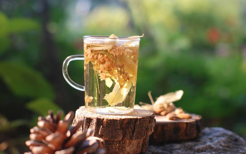 is-herbal-tea-caffeine-free-what-is-it