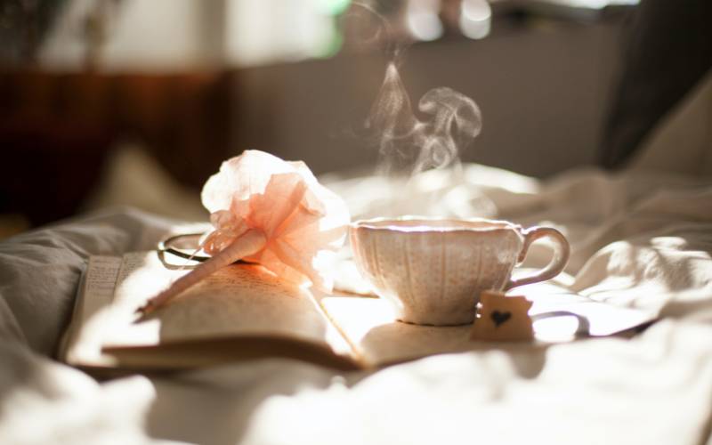 what-type-of-tea-has-the-most-caffeine-reason-why