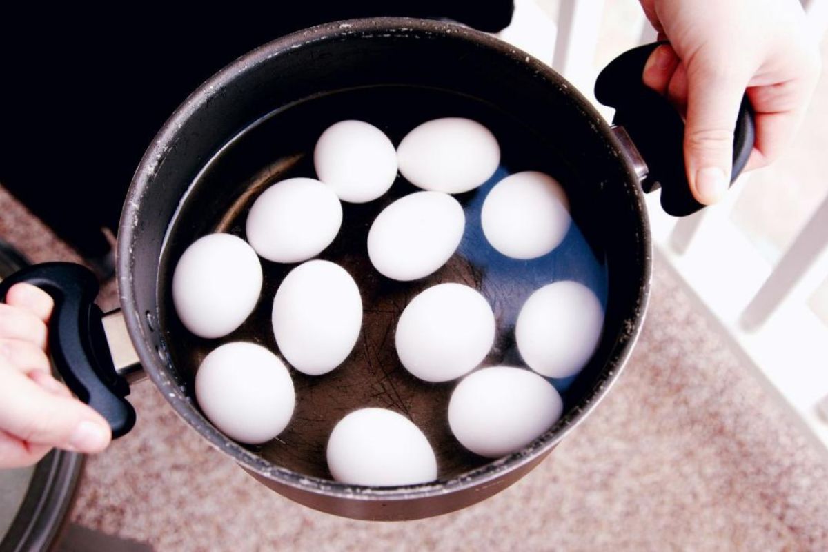 how-to-hard-boil-eggs