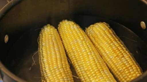 how-to-reheat-corn-on-the-cob