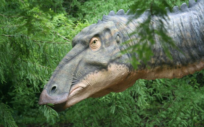 what-dinosaur-has-500-teeth-eat-plants