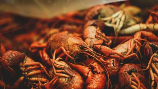 how-to-reheat-a-seafood-boil-featured
