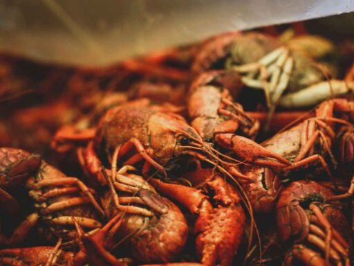 how-to-reheat-a-seafood-boil-featured