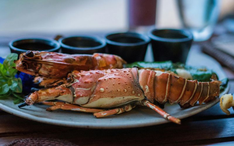 how-to-reheat-lobster-reheating-strategy