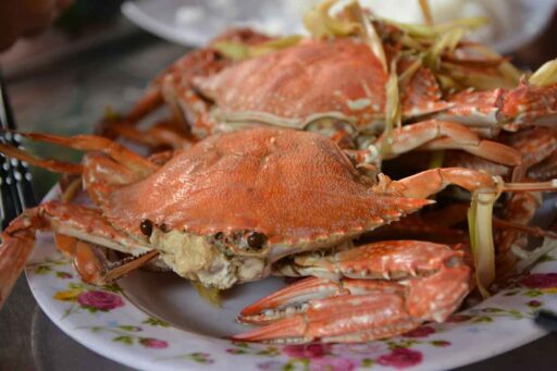 how-to-reheat-crabs-featured