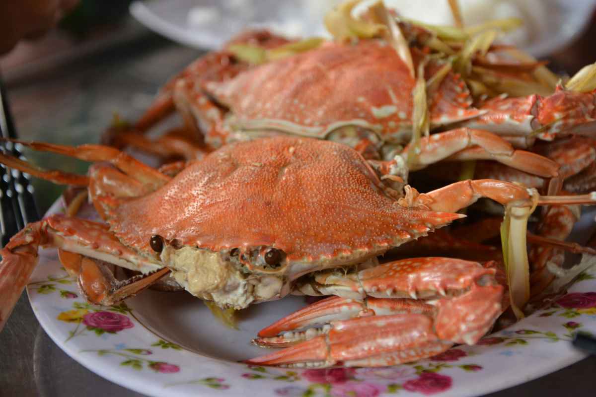 how-to-reheat-crabs-featured
