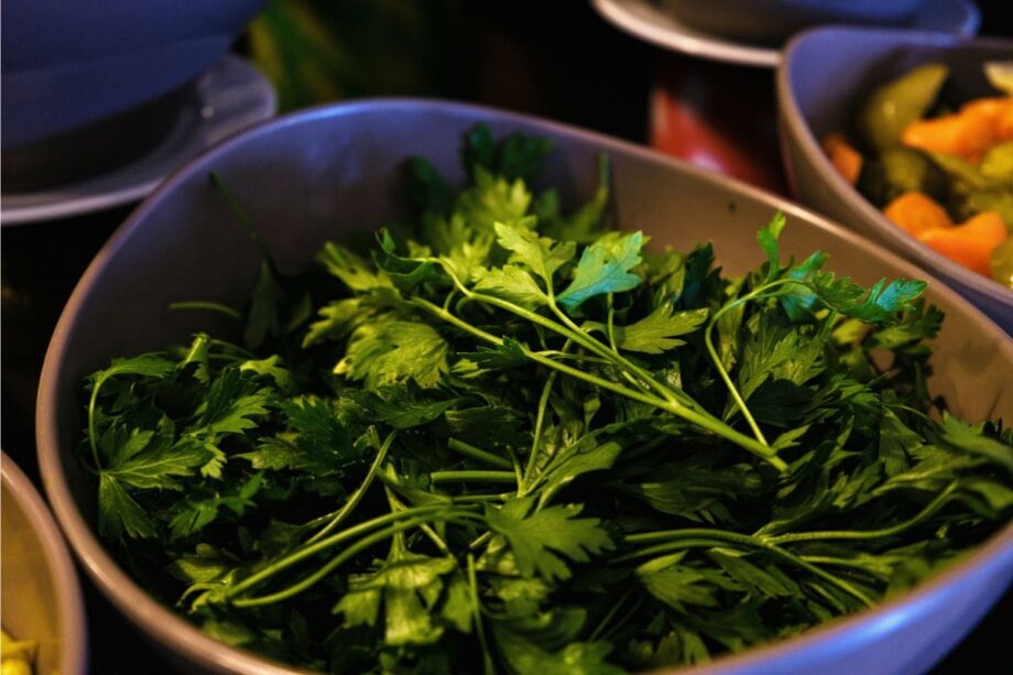 why-does-cilantro-taste-like-soap-featured