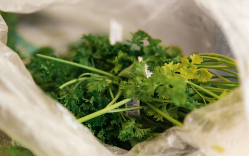 why-does-cilantro-taste-like-soap-how-to-get